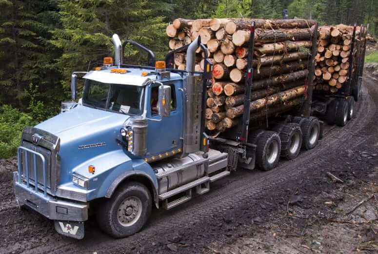 Western Star 4900 SB Logger